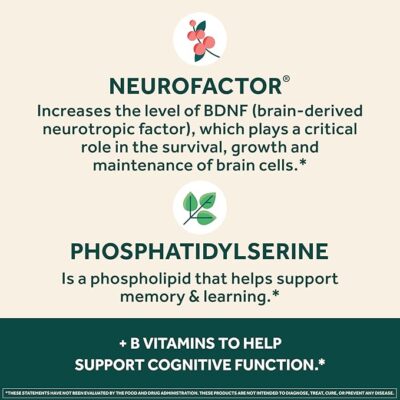 neuriva plus brain supplement for memory and focus clinically tested nootropics for concentration for mental clarity, cognitive enhancement vitamins b6, b12, phosphatidylserine 30 capsules
